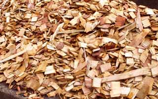 wood chip